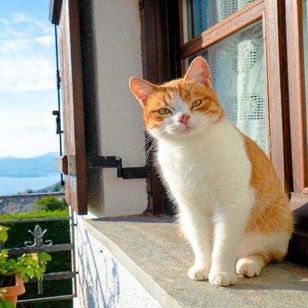 Chrissi Nefeli Apartment Agios Georgios Nileias Bagian luar foto