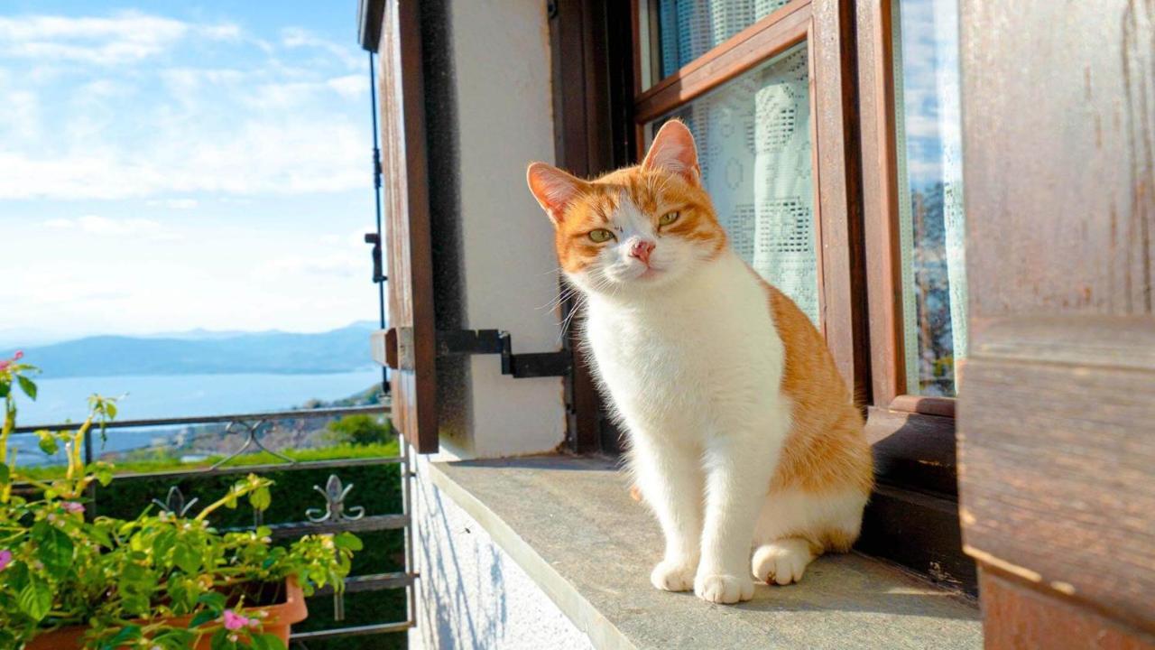 Chrissi Nefeli Apartment Agios Georgios Nileias Bagian luar foto